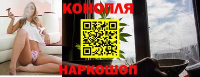 дживик Тара